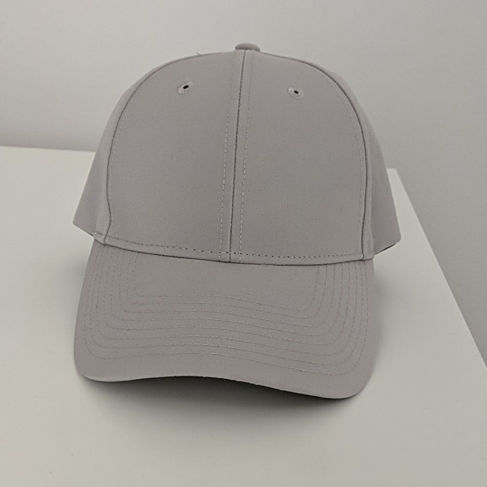 Aritzia Anson Baseball Dad Cap